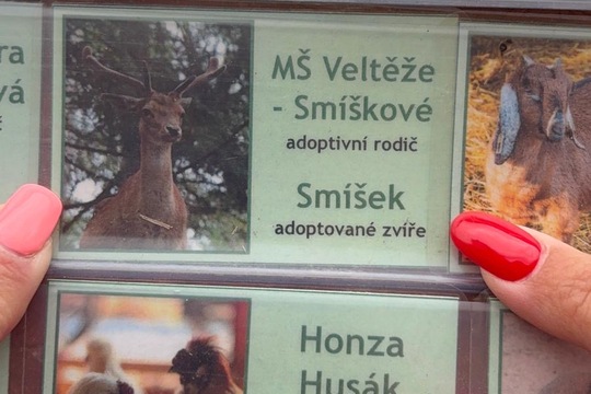 VIP návštěva 1