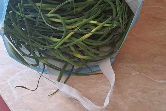 Vyrábíme česnekové pesto 1