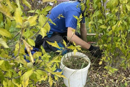 Brigáda pro rodiče a děti 1