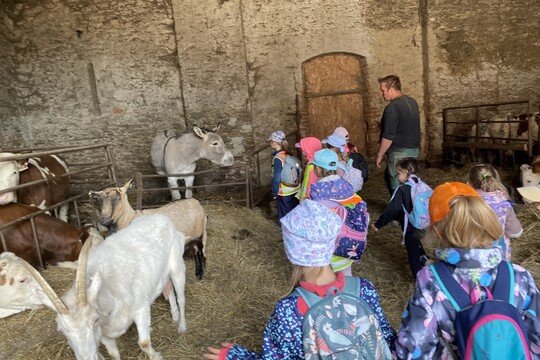 Koťátka na rodinné  EKO farmě Drozdových 1