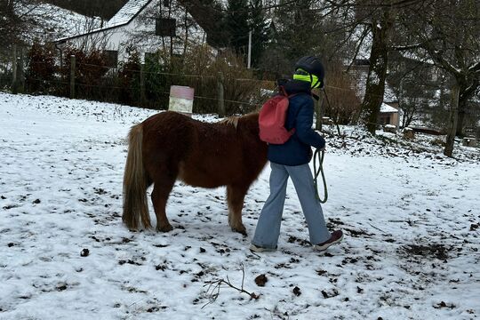 Návštěva poníků v Lísce Návštěva poníků v Lísce 1