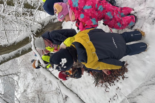 Dobroty pro zvířátka - Sluníčka 1