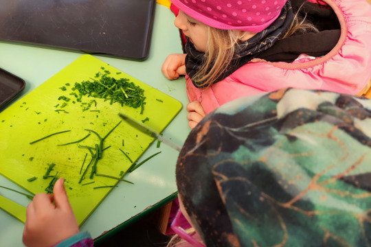 Probouzení jara v LMŠ Probouzení jara v LMŠ 1