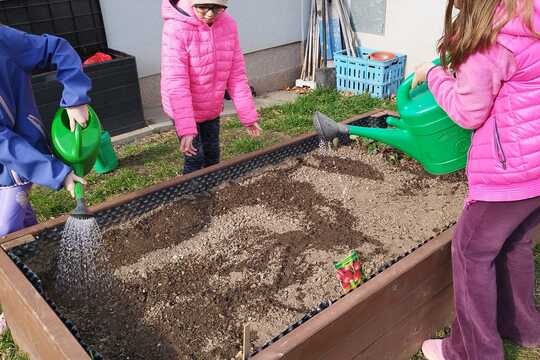 Probouzení záhonků  1