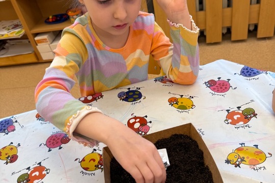 Zahradničení v třídě broučci 1