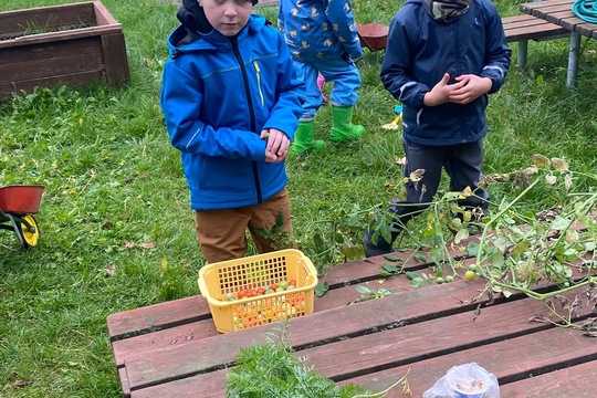 Děti z MŠ ukončily zahradnickou sezonu  1