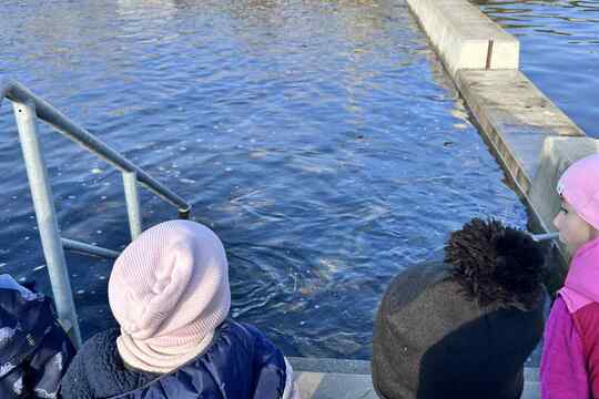 Výlov rybníka Výlov rybníka 1