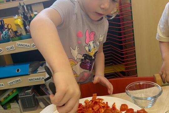 Zeleninová miska podle přání  1