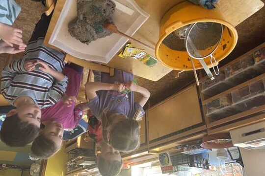 Výroba seeds bombs - Sluníčka 1