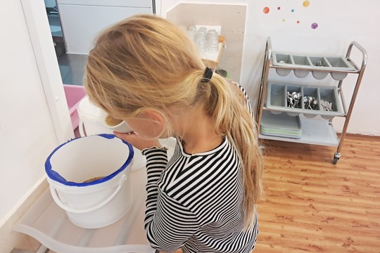 Semafor ve školní jídelně Semafor ve školní jídelně 1