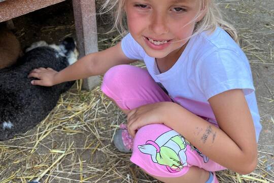 FARMAPARK U TOMA 1