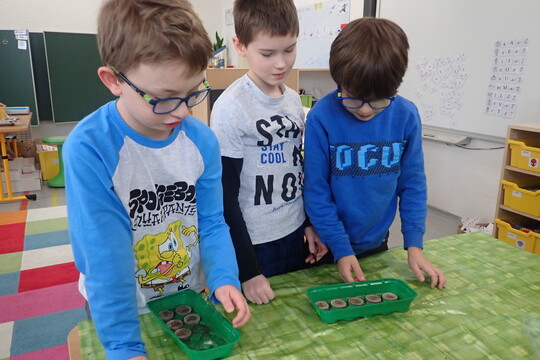 Vysévání semínek 1