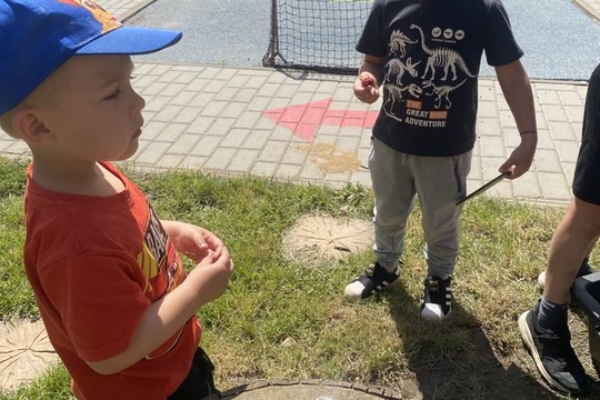 Třešňová mánie 1
