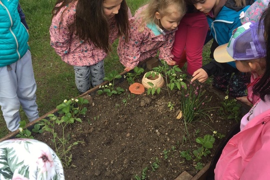 Příprava školní zahrady 1