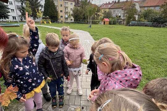 Domino z přírodnin ???????????? 1
