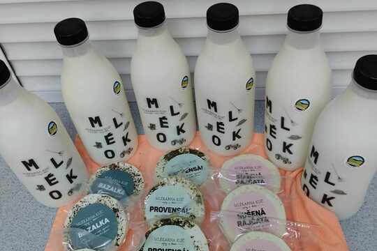 Mléčné výrobky z farmy Klíč Božice 1