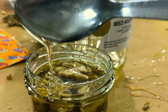 Cesta za tajemstvím babiččiny kuchyně: PODZIM co zahřeje a uzdraví Cesta za tajemstvím babiččiny kuchyně: PODZIM co zahřeje a uzdraví 1