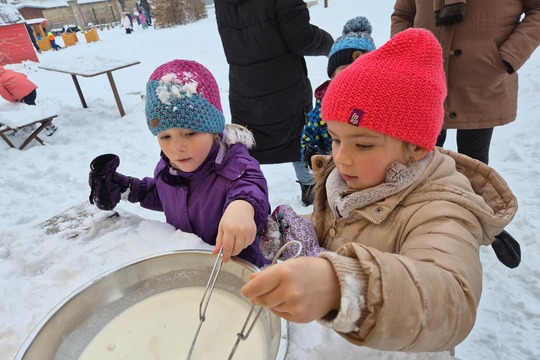 Zmrzlina ve sněhu 1