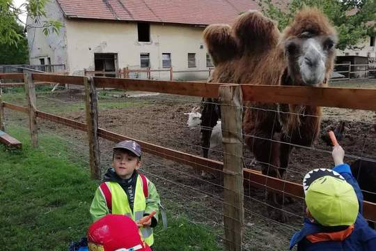 Návštěva farmy Apolenka 1