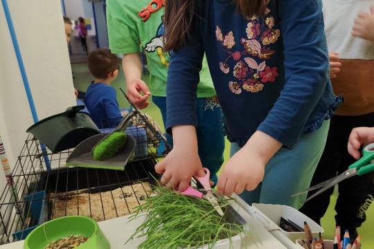 Co s velikonočním osením? 1