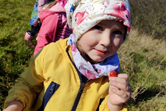 Sběrači šípků Sběrači šípků 1