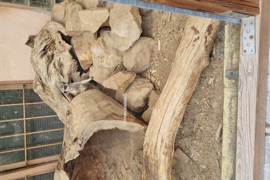 Ježečci z MŠ Soběchleby - Návštěva Bioparku v Teplicích 1