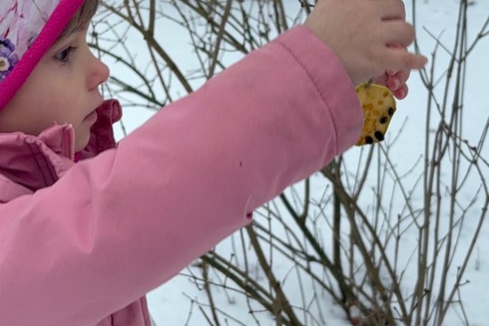 Vnímáme přírodu  1