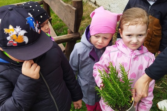 Jaro u nás na zahrádce Jaro u nás na zahrádce 1