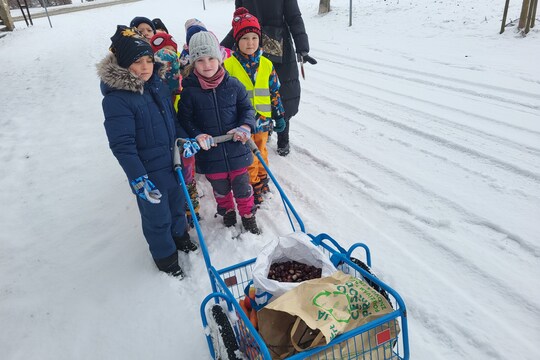 Dobroty pro zvířátka - Sluníčka 1