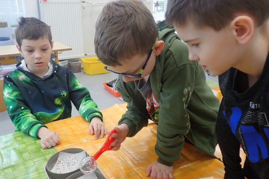 Pěstujeme microgreens 1