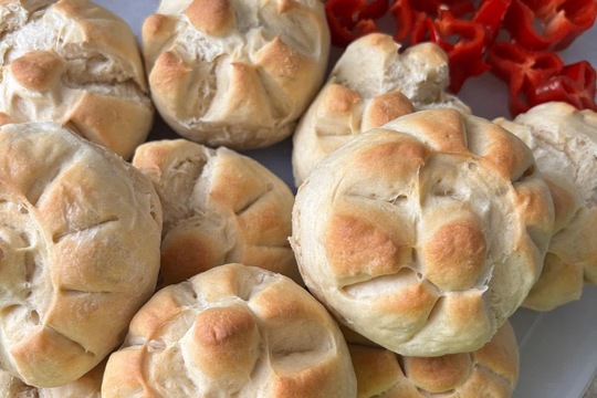 Vlastní a domácí  1