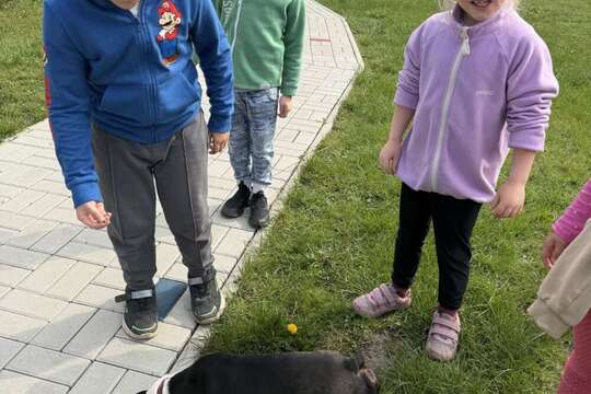 Zvířátka – ať už plastová, plyšová, živá nebo kreslená 1