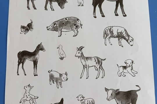 Za poznáním života na bio farmě v Úlovicích Za poznáním života na bio farmě v Úlovicích 1