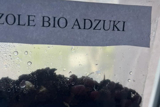 UČÍME SE PROŽITKEM aneb naše fazole 1