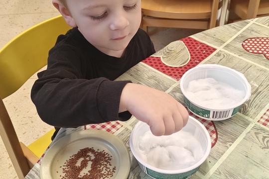 Bylinková radost v naší školce 1