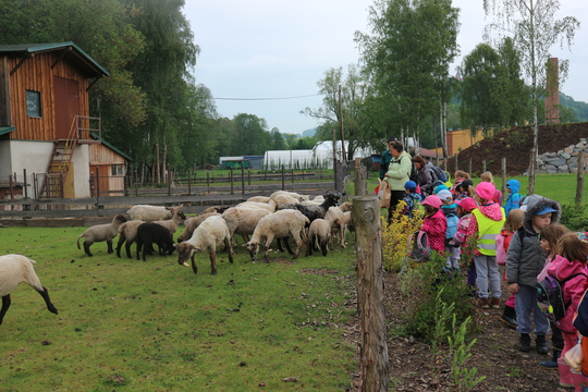 Tématický výlet za zvířátky, farma: Varnsdorfský kocour 1