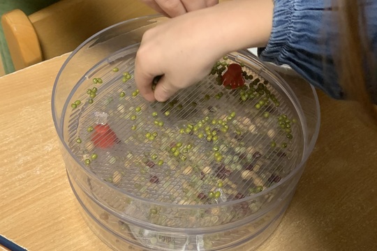 Malí pěstitelé v akci 1