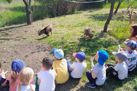 Udělali jsme si sami mufinky na výlet na farmu 1