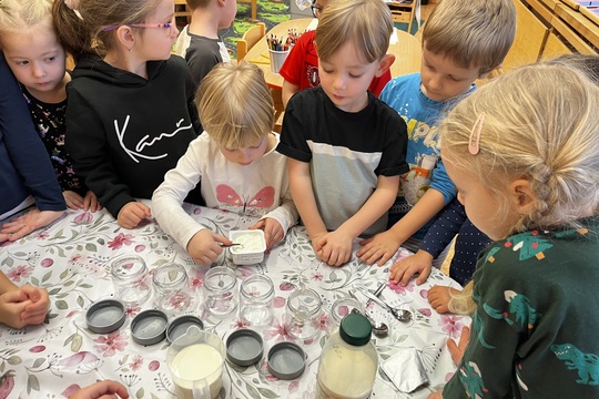 Domácí jogurt - Kytičky 1