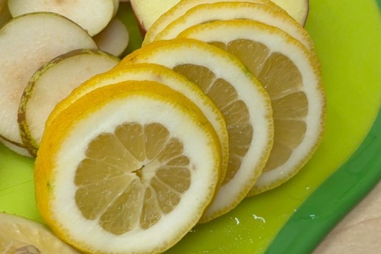 Ledová lednová krmítka  1