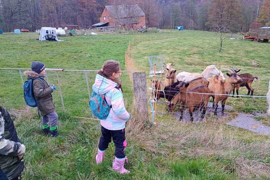 Návštěva farmy 1