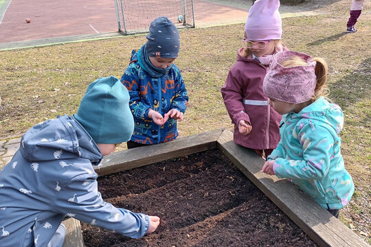 Jak si kdo zasadí, tak si taky sní  1