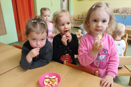 Křížaly - zdravé mlsání u Cipísků 1