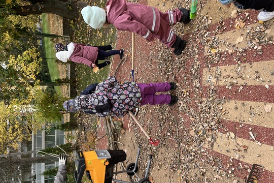 Zazimování naší školní zahrádky Zazimování naší školní zahrádky 1