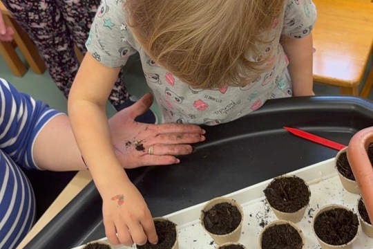 Bylinky a rajčátka od kamarádů Bylinky a rajčátka od kamarádů 1