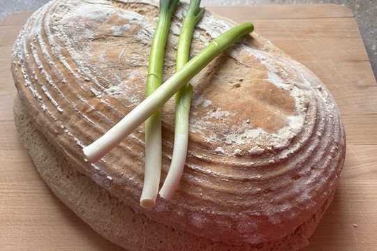 Vlastní a domácí  1