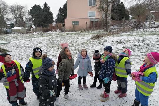 Sovičky z MŠ Dukelských hrdinů - Sněhová vločka 1