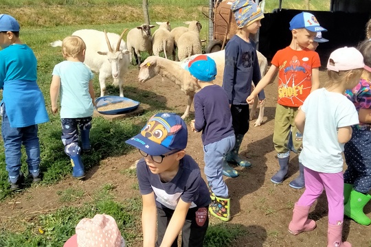 Výlet na farmu  1