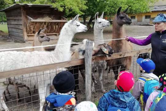 Návštěva farmy Apolenka 1