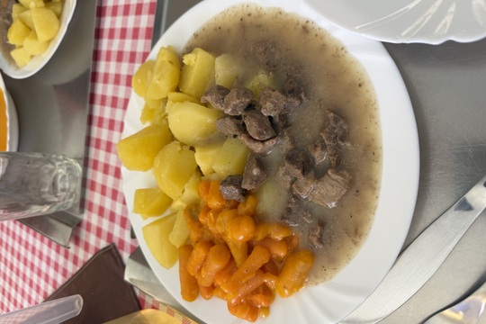 Mezinárodní den mrkve v MŠ Sluníčko Krupka 1